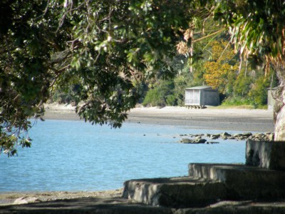 Cox Bay trough the trees